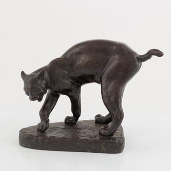 Arvid Knöppel, Smygande lodjur.