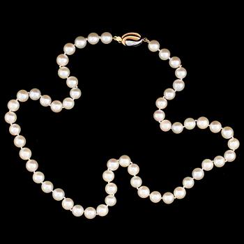 Cultured pearl necklace.