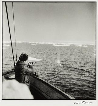 Lennart Nilsson,  "Isbjörnsjakt vid Hvitøya (Vitön), Svalbard, Norge 1947".