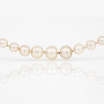 COLLIER, med odlade pärlor, lås i 14K guld med rosenslipade diamanter.