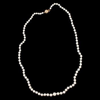 COLLIER, odlade saltvattenspärlor, kullås 18k guld.