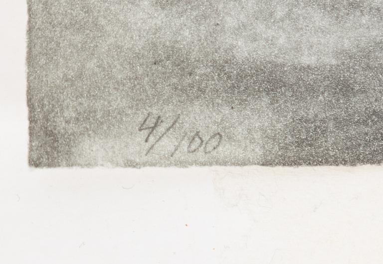 Curt Asker/Wallace Stevens "Elva dikter".