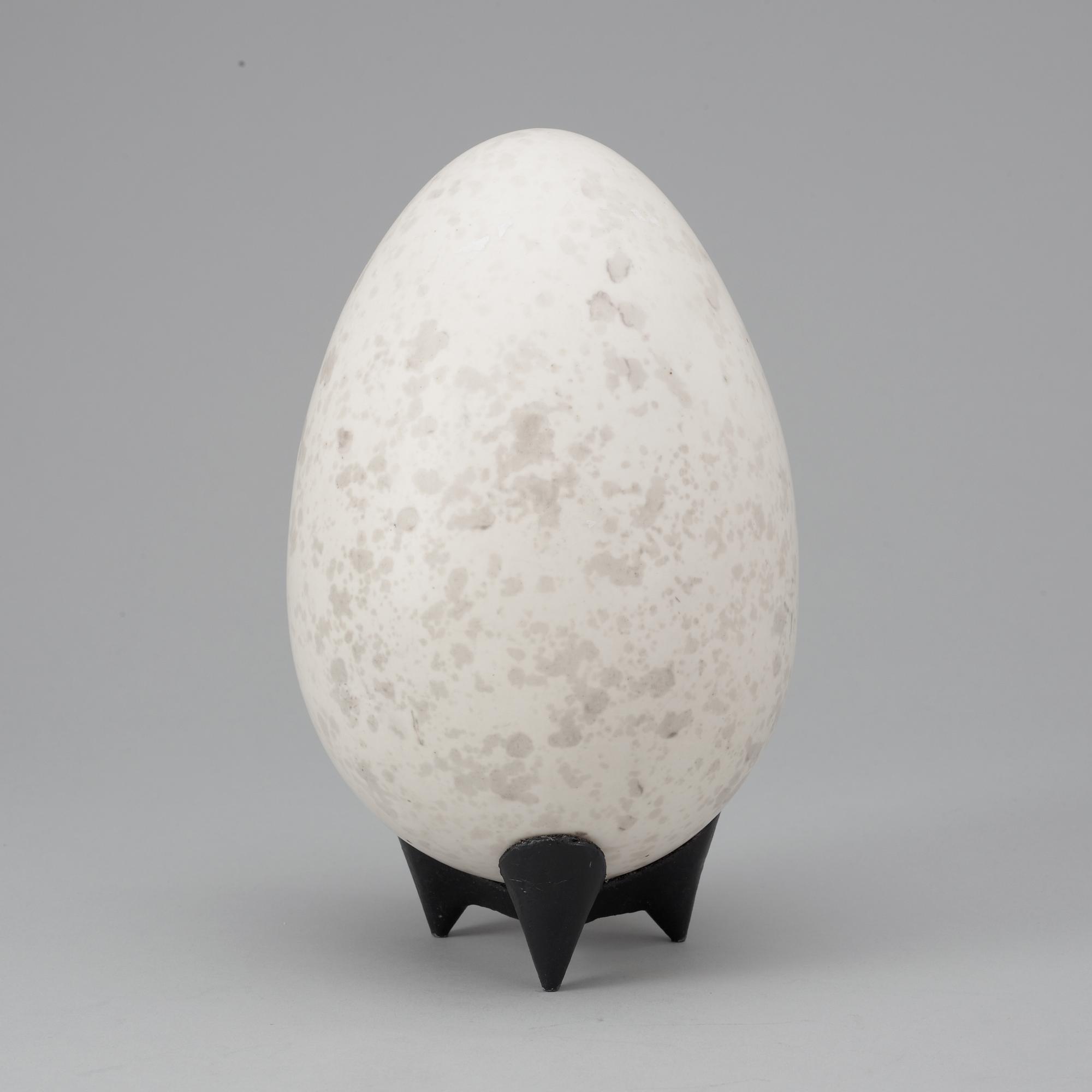 HANS HEDBERG, ägg, Biot, Frankrike.