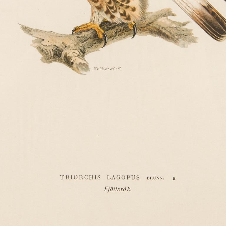 LITHOGRAPHS, 5 pcs, after Wilhelm von Wright and Bror Hallberg. A. Börtzell, Stockholm.