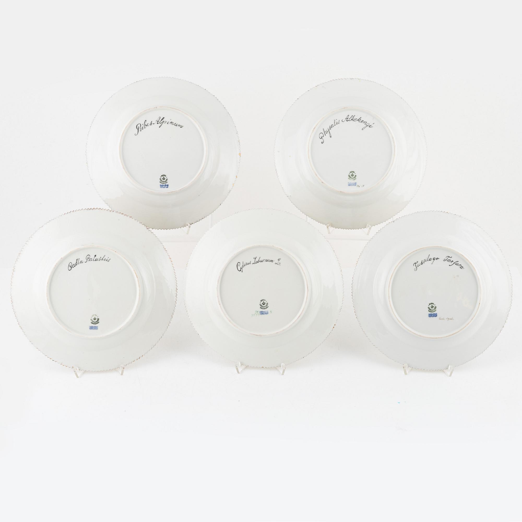 Tallrikar, 10 st, porslin, "Flora Danica" (Hausmålerai), Royal Copenhagen, Danmark.