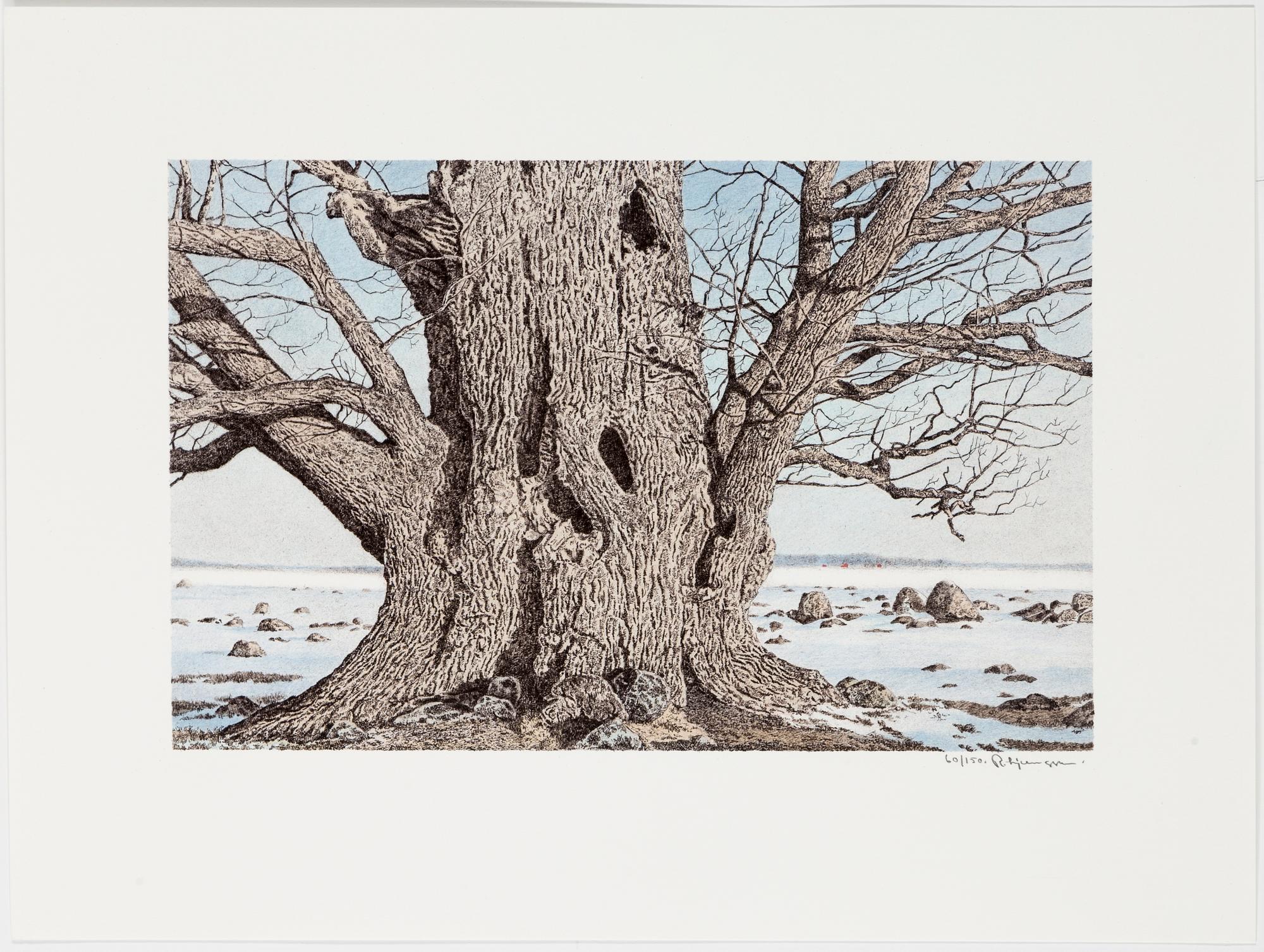 REINHOLD LJUNGGREN, a folder with 6 lithographs, signed and numbered 60/150.