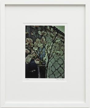 Mia Galde, Untitled.