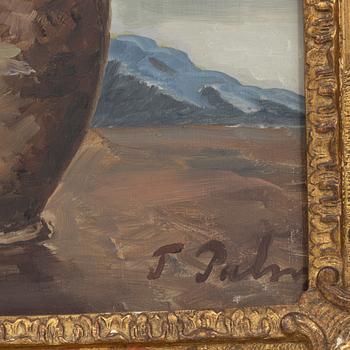 Torsten Palm, View through a window, Venice.