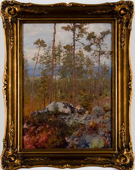 VASILI LEVI, HÖSTLANDSKAP, TERIJOKI.