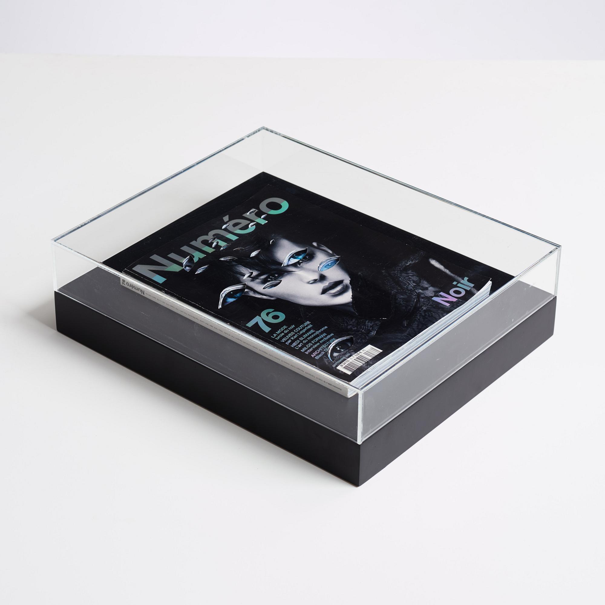 Anna Nordquist Andersson, "I see through you".