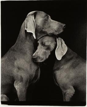 William Wegman, "Friends".