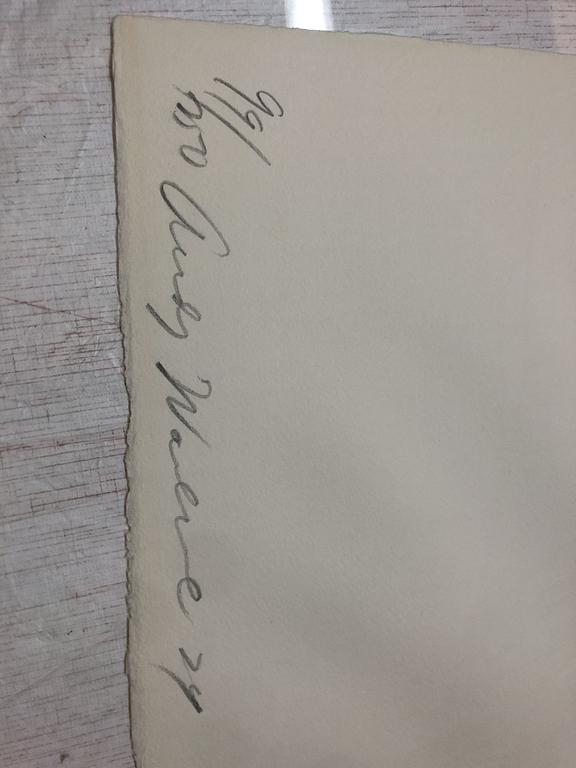 ANDY WARHOL, Silkscreen 1974, on Arches paper, signed with initials in pencil, and also signed and numbered 99/250 verso.