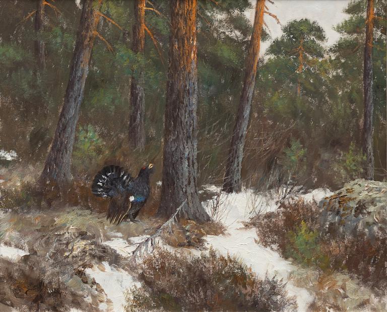 Johannes Ravn, Orrspel.