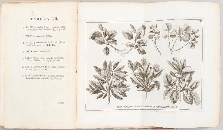 Carl von Linné, Flora Lapponica, J.E Smith, 1792, bok.