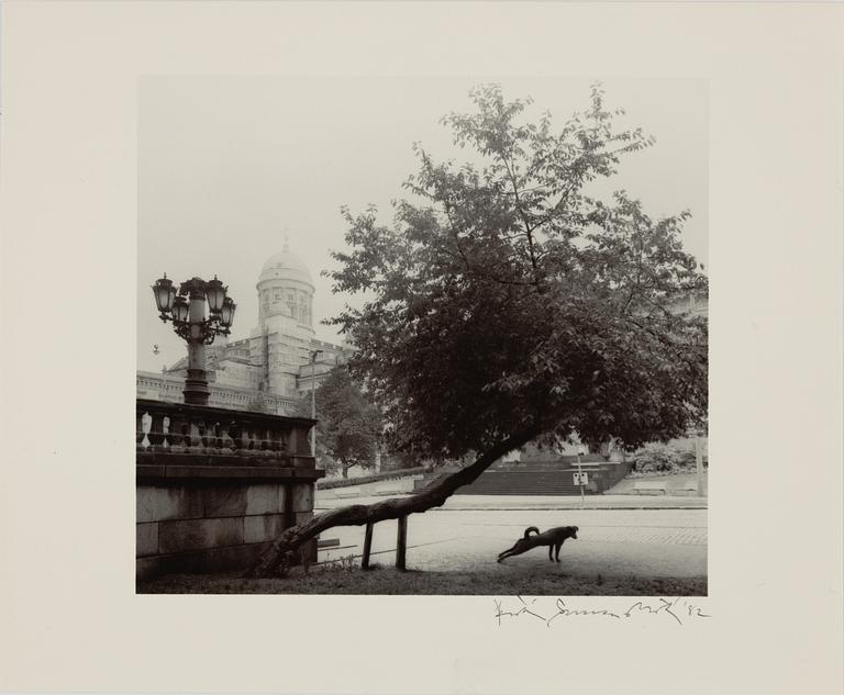 Pentti Sammallahti, Utan titel, 1982.