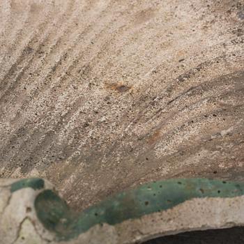 a concrete bird bath from the early 20th century.