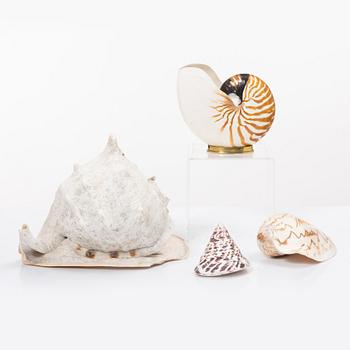 Firma Svenskt Tenn, shells 4 pcs, including one Nautilus shell with a brass mount.