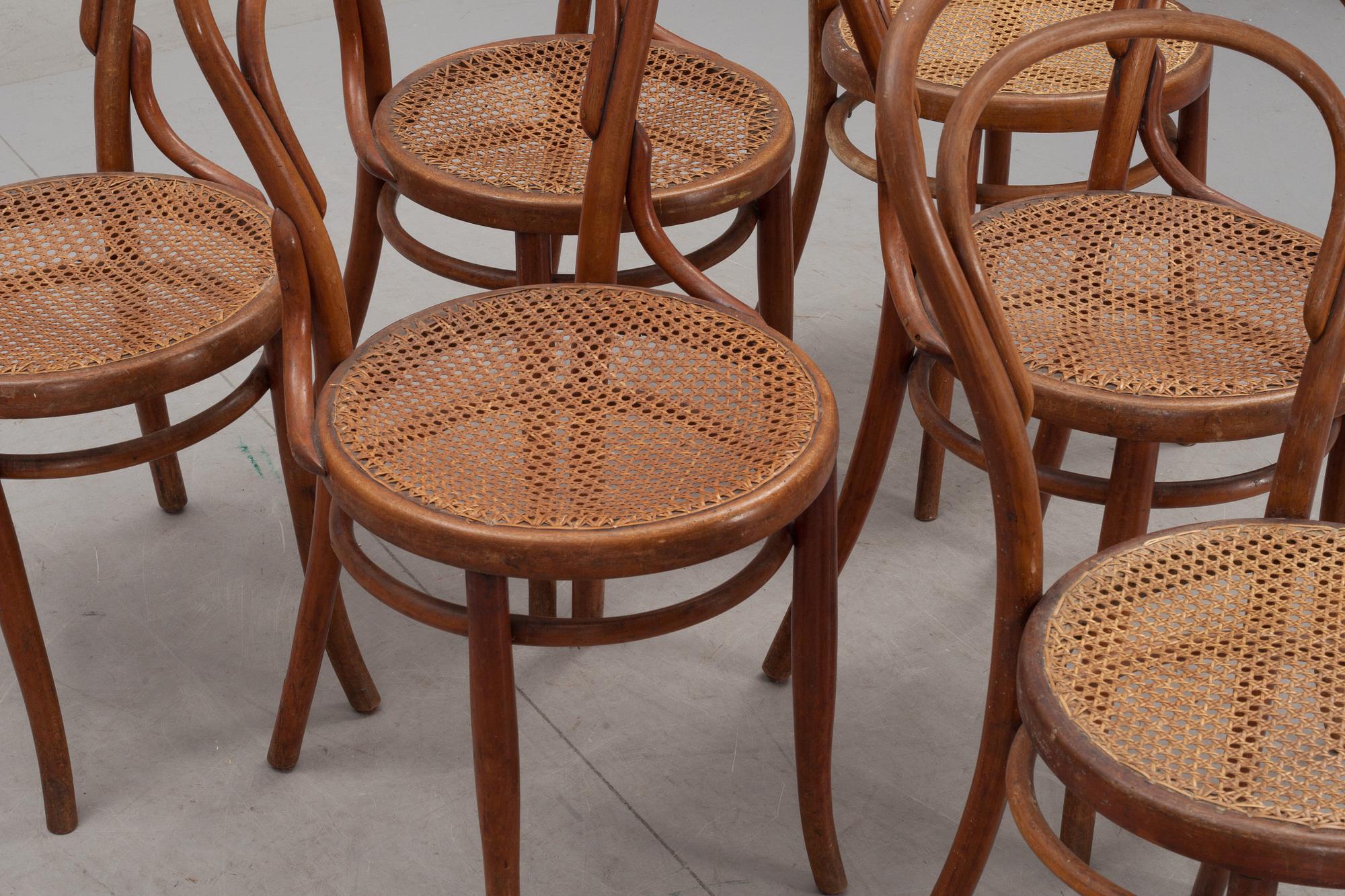 STOLAR, 6 st, Thonettyp, 1900-talets början, märkta.