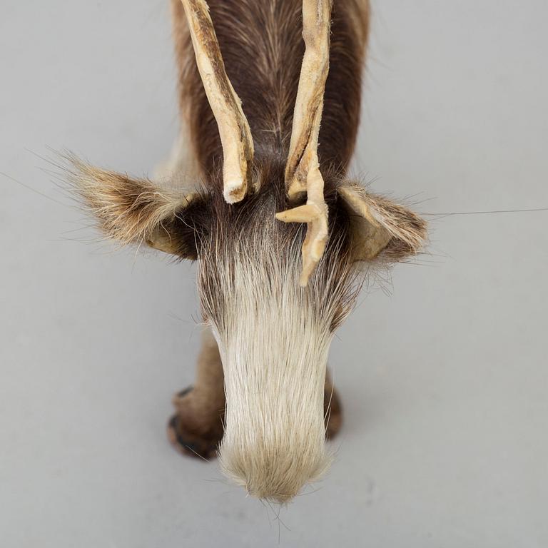 A Sami reindeer fur figure of a reindeer.