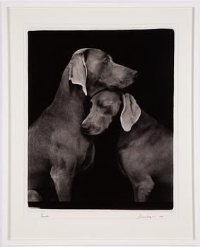 William Wegman, "Friends".