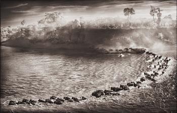 225. Nick Brandt, "Wildebeest Arc, Maasai Mara", 2006.