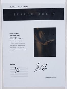 Jesper Molin, "Male Power", 2016.