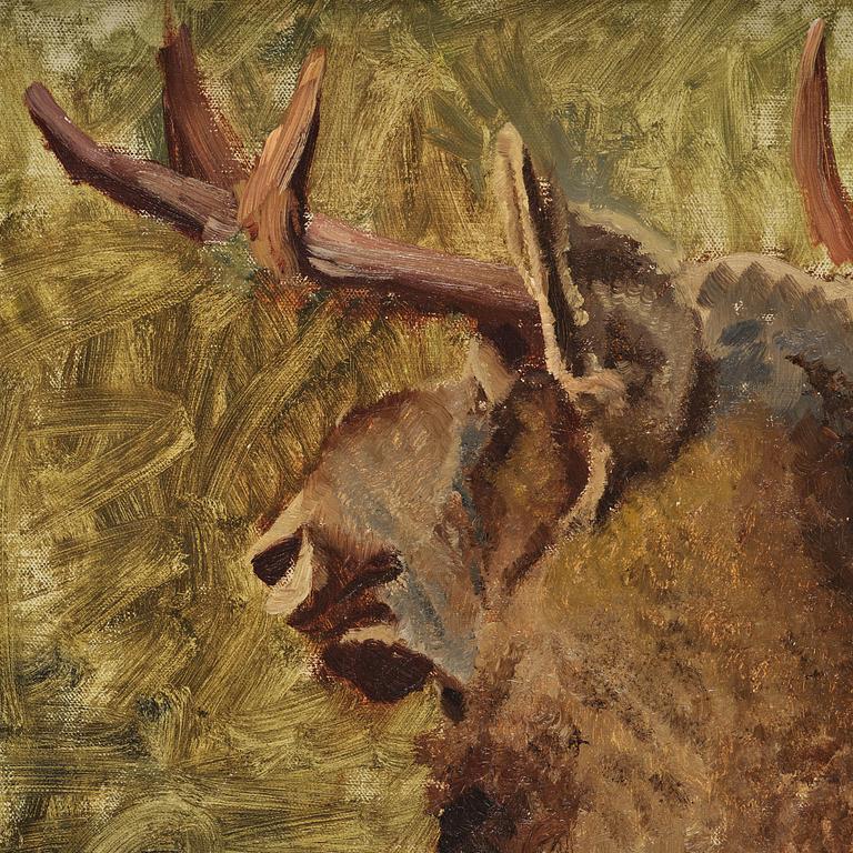 Bruno Liljefors, Moose head.