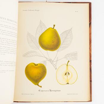 Gustaf Lind, bokverk, "Svensk frukt", samt Axel Pihl & Jakob Eriksson "Svenska Fruktsorter".