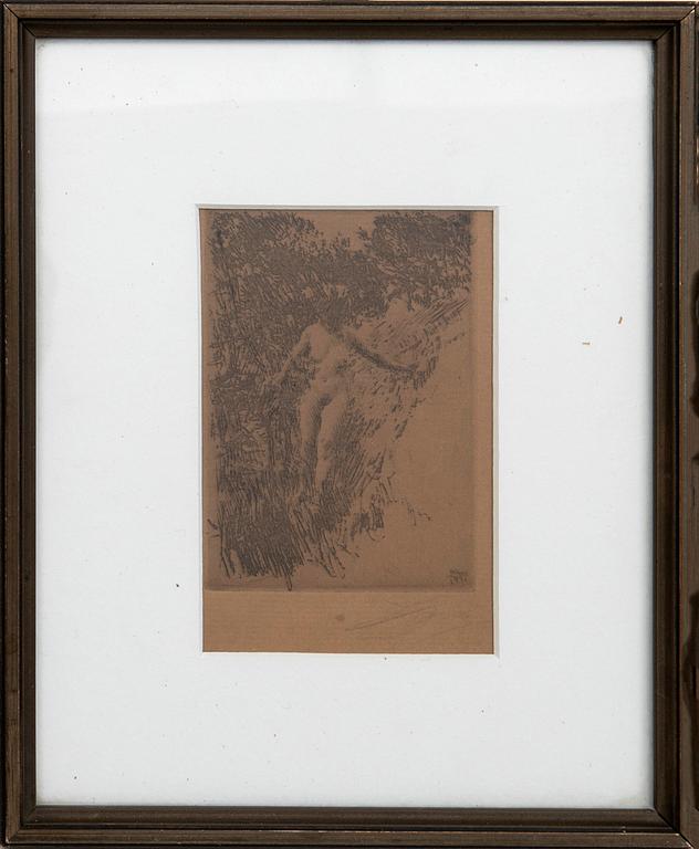 Anders Zorn, Buskage.