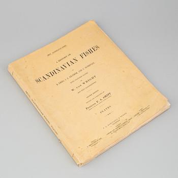 BOK, "Scandinavian Fishes", B Fries, C.U Ekström, C Sundevall. 1895, No 0170.