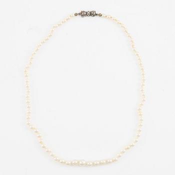Pearl necklace, two cultured pearls, clasp silver.
