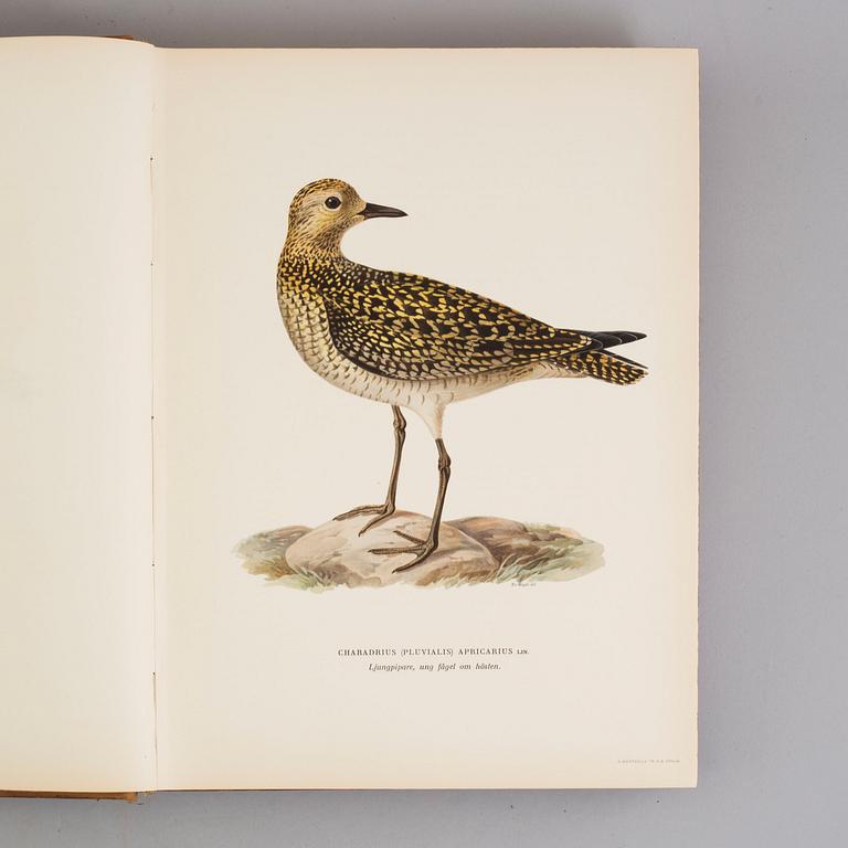 Three book "Svenska fåglar (Swedish birds)" with images by M, W & F VON WRIGHT, printed by Börtzells AB, 1924-1929.