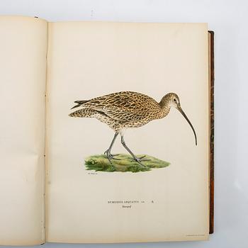 The Wright Brothers, book work, 3 volumes, "Swedish Birds", A. Börtzells tryckeri AB, Ivar Baarsen, Stockholm, 1924-1929.