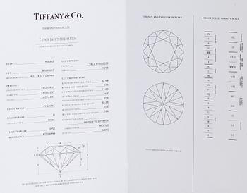 Tiffany & Co, Elsa Peretti, a platinum necklace, "Diamonds by the Yard' with a brilliant-cut diamond.