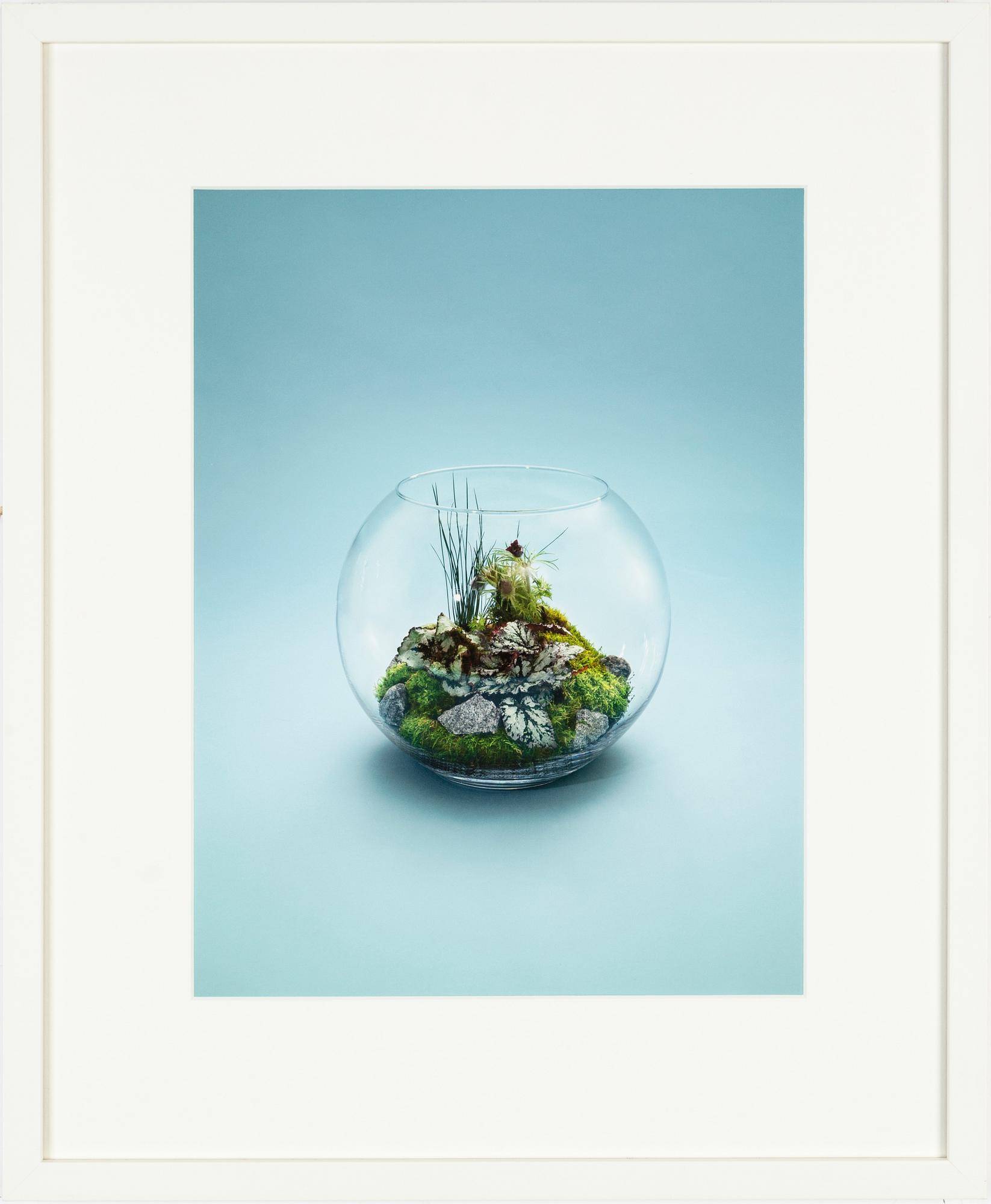 Henrik Bonnevier, fotografi signerad och numrerad 2/3 a tergo.