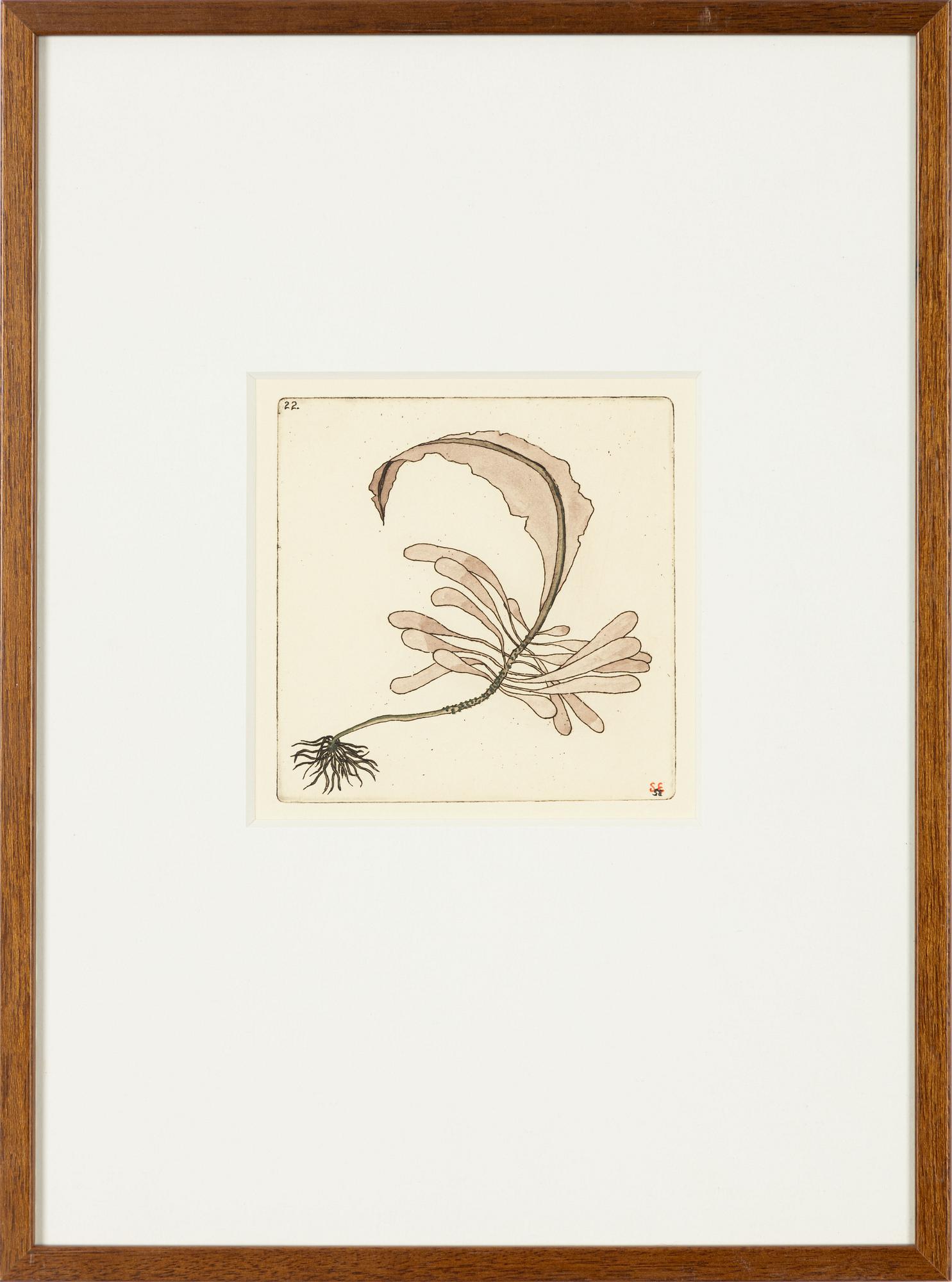 Sten Eklund,  "Alg." From "Kullahusets hemlighet".