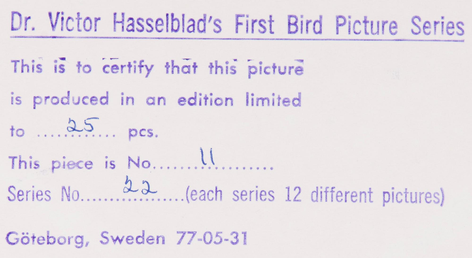 VICTOR HASSELBLAD, fotografier, 12 st, signerade, daterade och numrerade, ur serien nr 22.