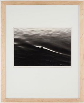 Tom Sandberg, Utan titel, 1979.