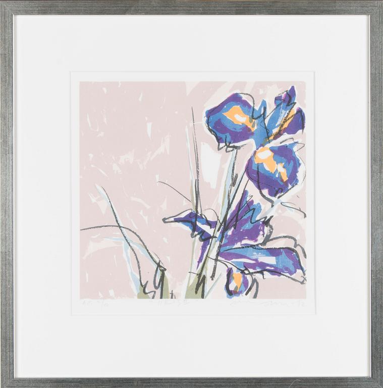 Tapani Mikkonen, "Iiris II".