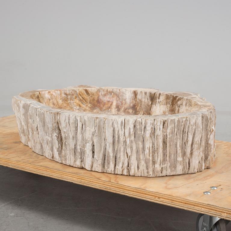 HANDFAT, fossil av förstenat trä.