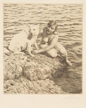 Anders Zorn, etching, 1917, signed in pencil.