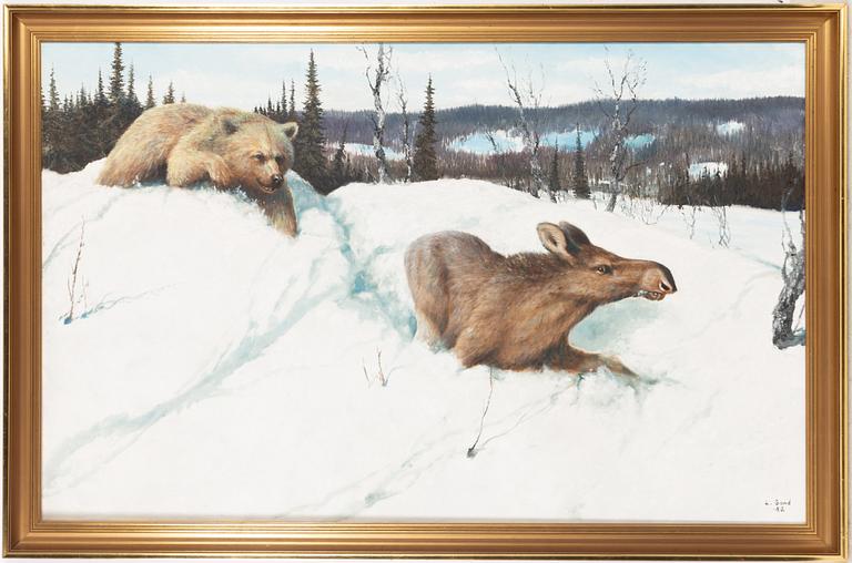 Lennart Sand, 'Björn och fjolårskalv (Bear and last year's calf)'.