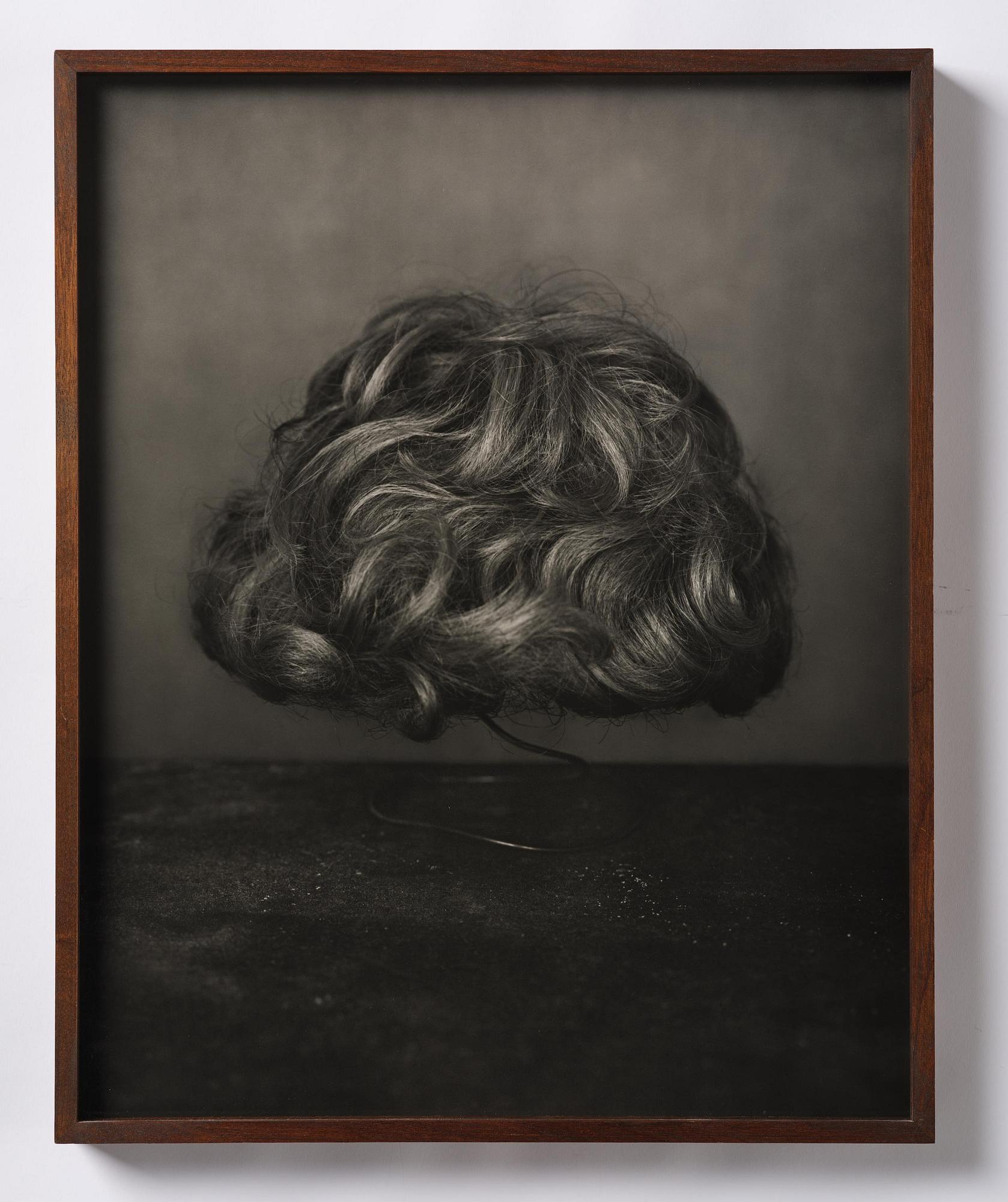Denise Grünstein, “Wig”, 2011.