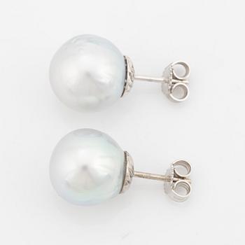 Cultured South sea pearl earrings.