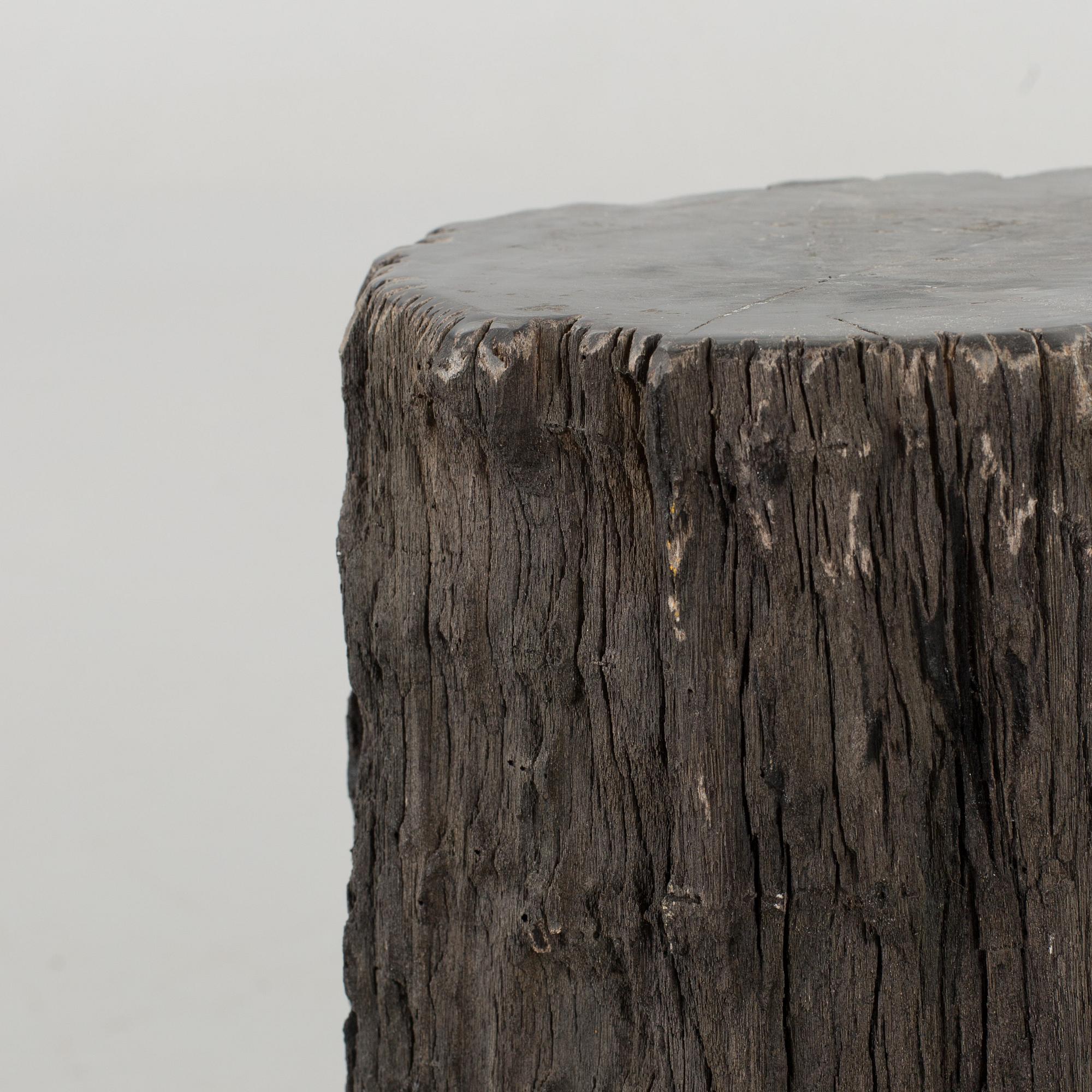 A FOSSILLISED WODDEN TREE.