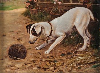 Unknown artist 19th century, possibly Alfred Weczerzick, The Hedgehog,.