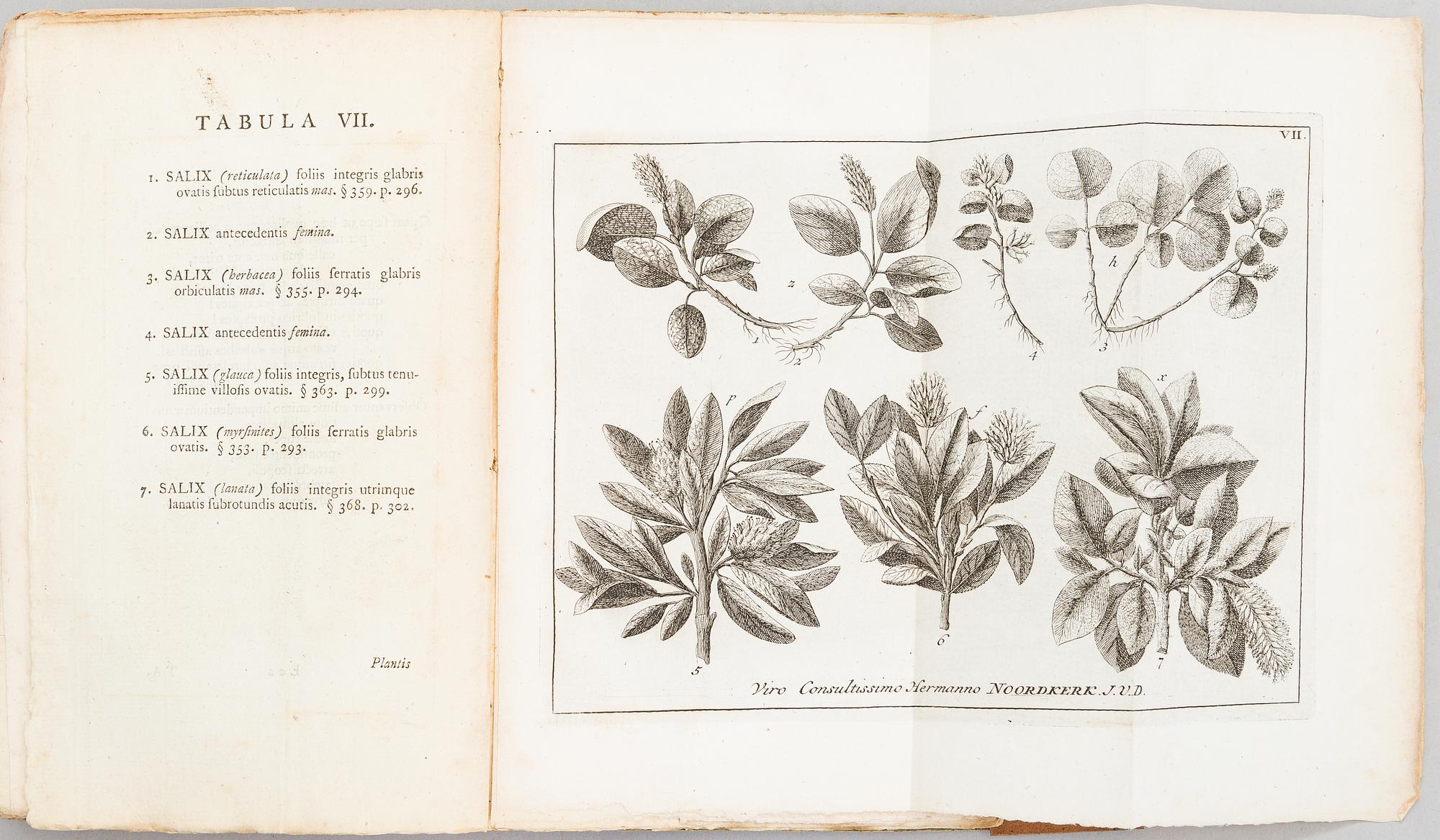 A book 'Flora Lapponica' by Carl von Linné, J.E Smith 1792.