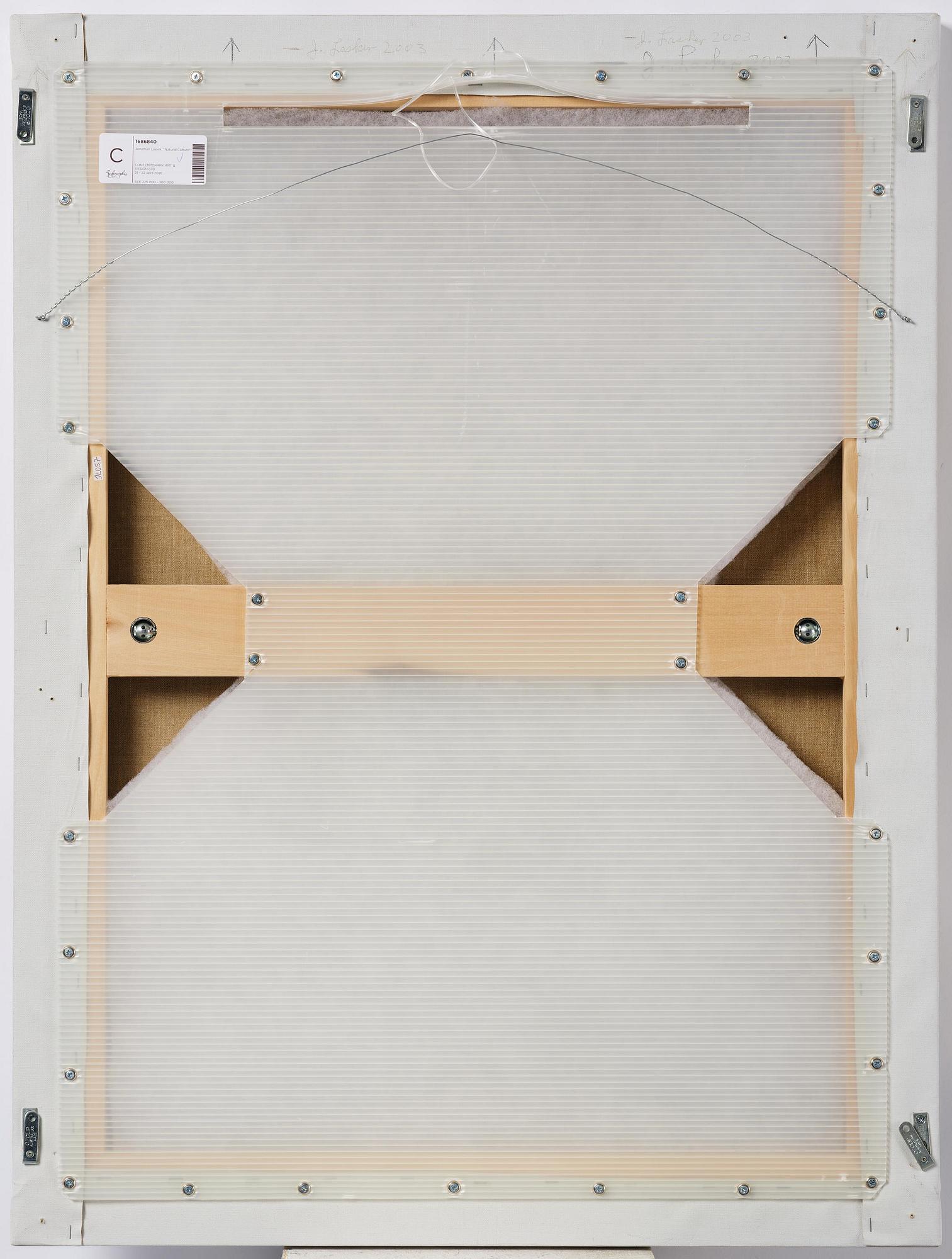 Jonathan Lasker, "Natural Culture".