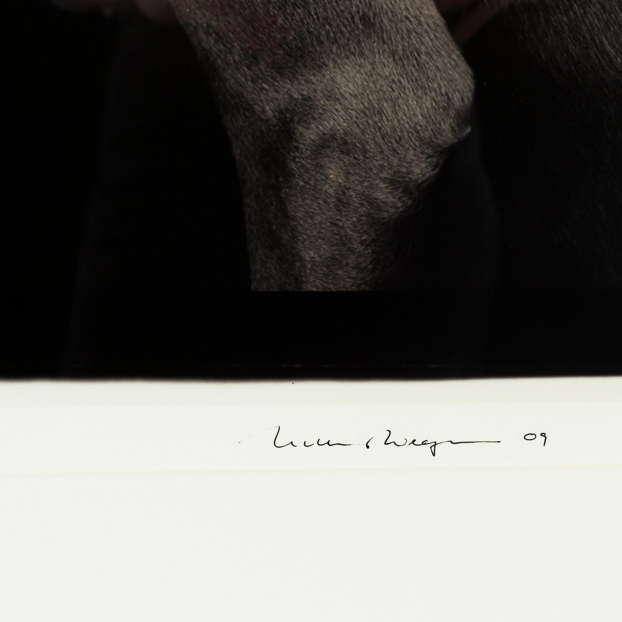 William Wegman, archival pigment print 2009, signed. Numbered 482/1500 verso.