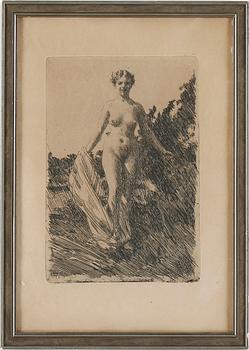 Anders Zorn · ANDERS ZORN, etsning, ej signerad.